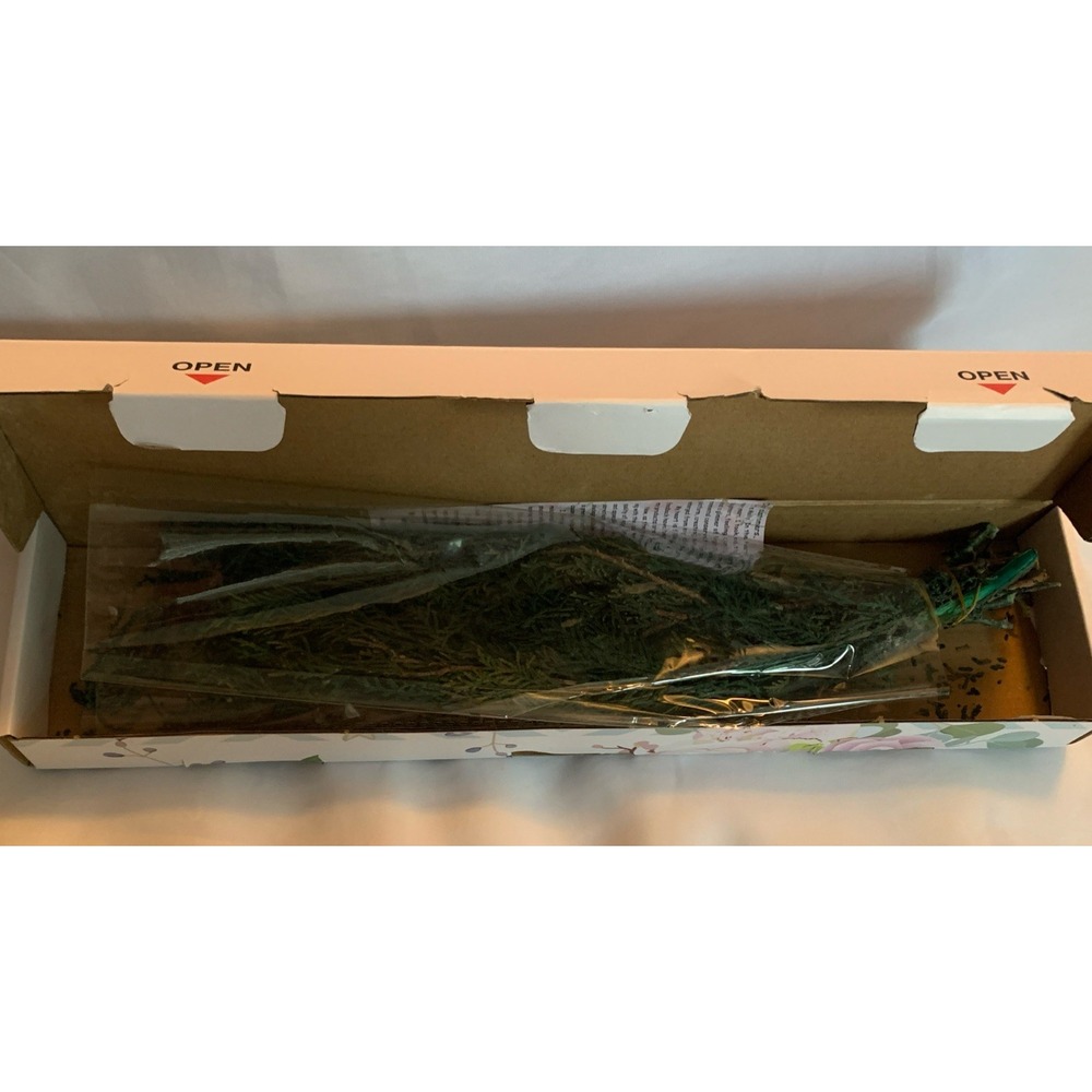 Preserved Real Pine Leaves‎ Branches - 17'' Natural Arrangements Holiday